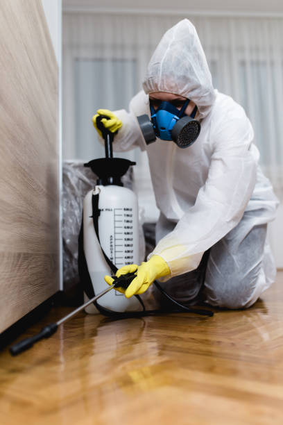 Best Pest Prevention Services  in Coquille, OR